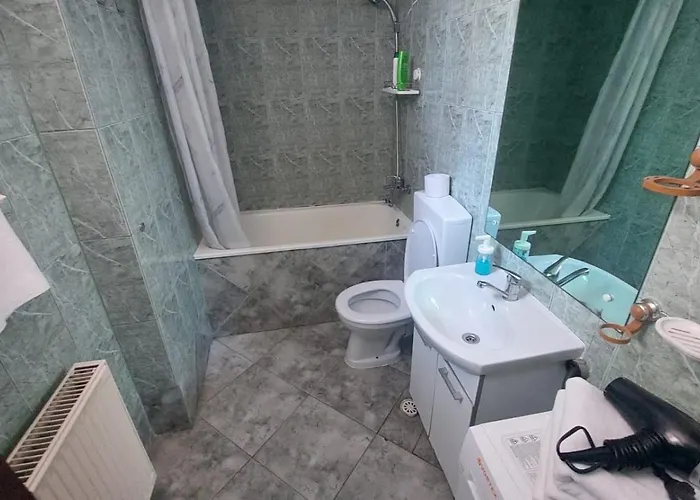 Catalina Apartamento Timişoara